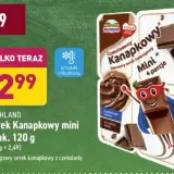Gdzie kupić serek hochland czekoladowy? Ceny i sklepy w Polsce