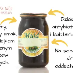 Miód spadziowy co to? Odkryj jego niezwykłe właściwości i korzyści
