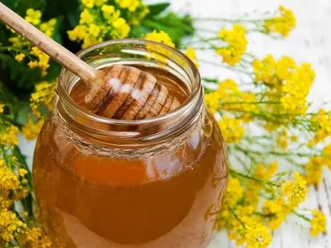 Miód rzepakowy na co pomaga? Właściwości, zastosowanie i przeciwwskazania
