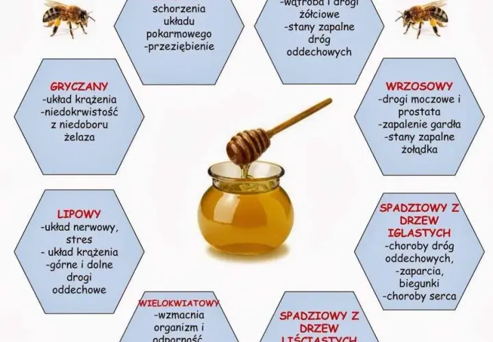 Który miód jest najzdrowszy? Porównanie właściwości i korzyści dla zdrowia
