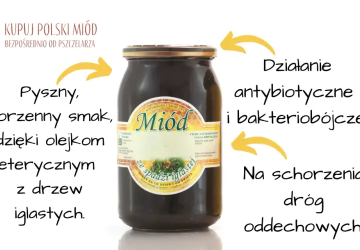 Miód spadziowy co to? Odkryj jego niezwykłe właściwości i korzyści