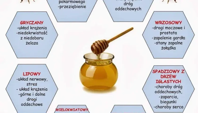 Który miód jest najzdrowszy? Porównanie właściwości i korzyści dla zdrowia