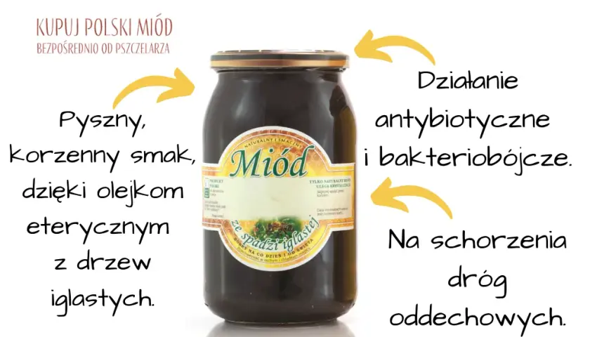Miód spadziowy co to? Odkryj jego niezwykłe właściwości i korzyści